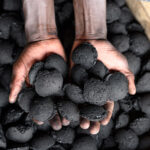 Sustainability Simplified: Greener Charcoal for All