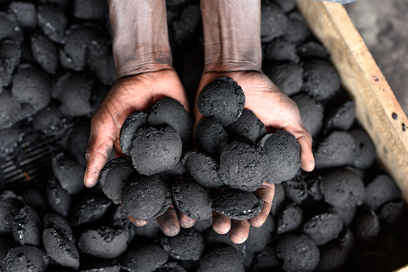 Sustainability Simplified: Greener Charcoal for All